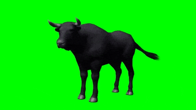 anima
